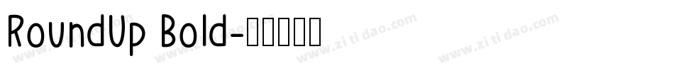 RoundUp Bold字体转换